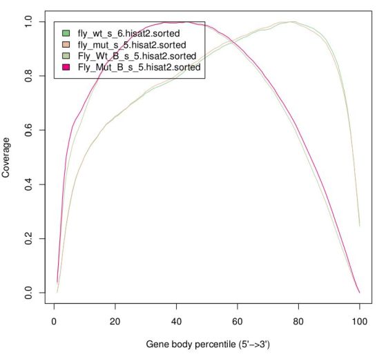 Positional Bias