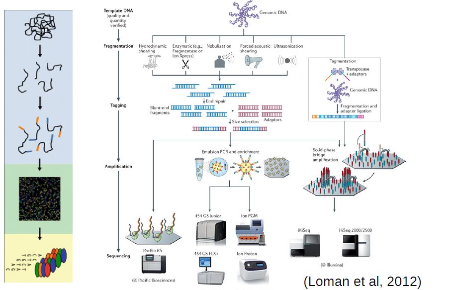 1 - Plan your experiment using NGS technologies