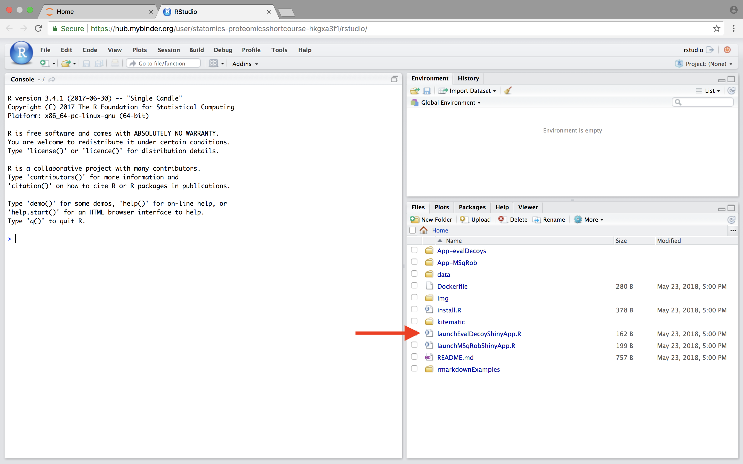 Figure 2. Rstudio