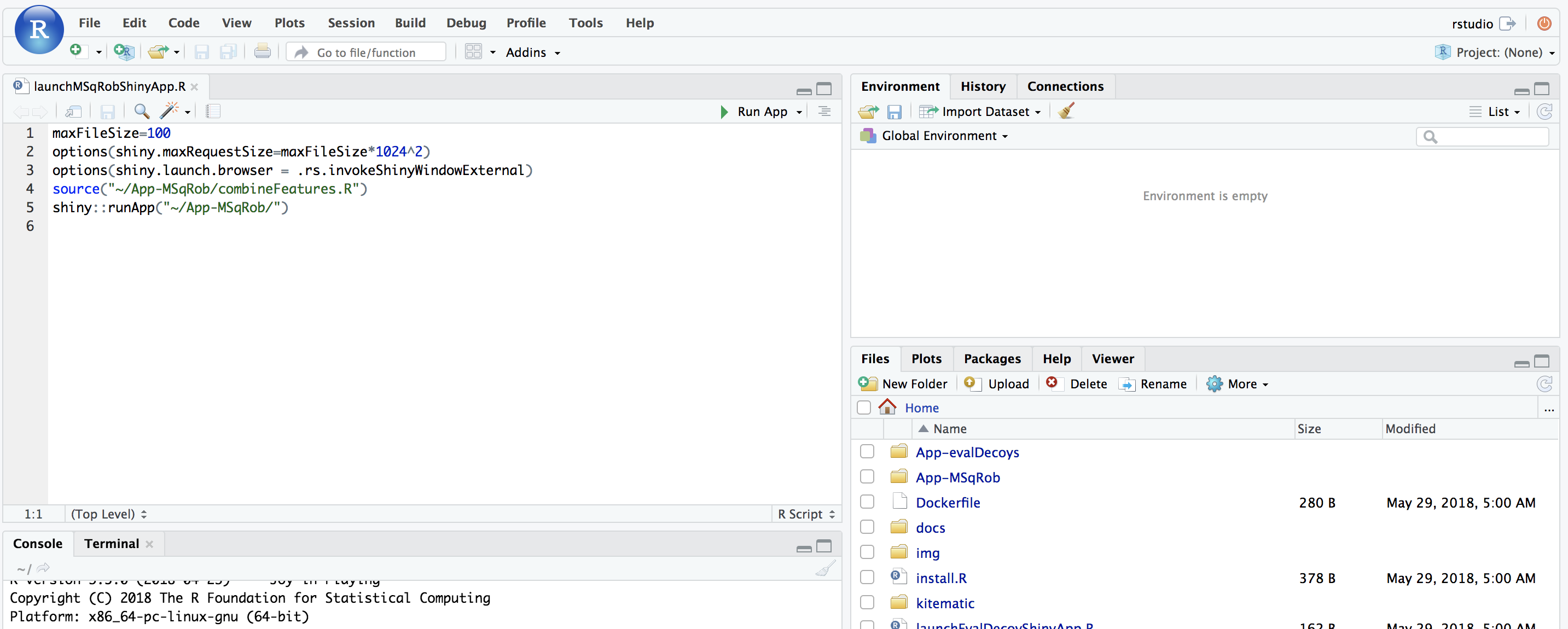 Figure 3. Rstudio